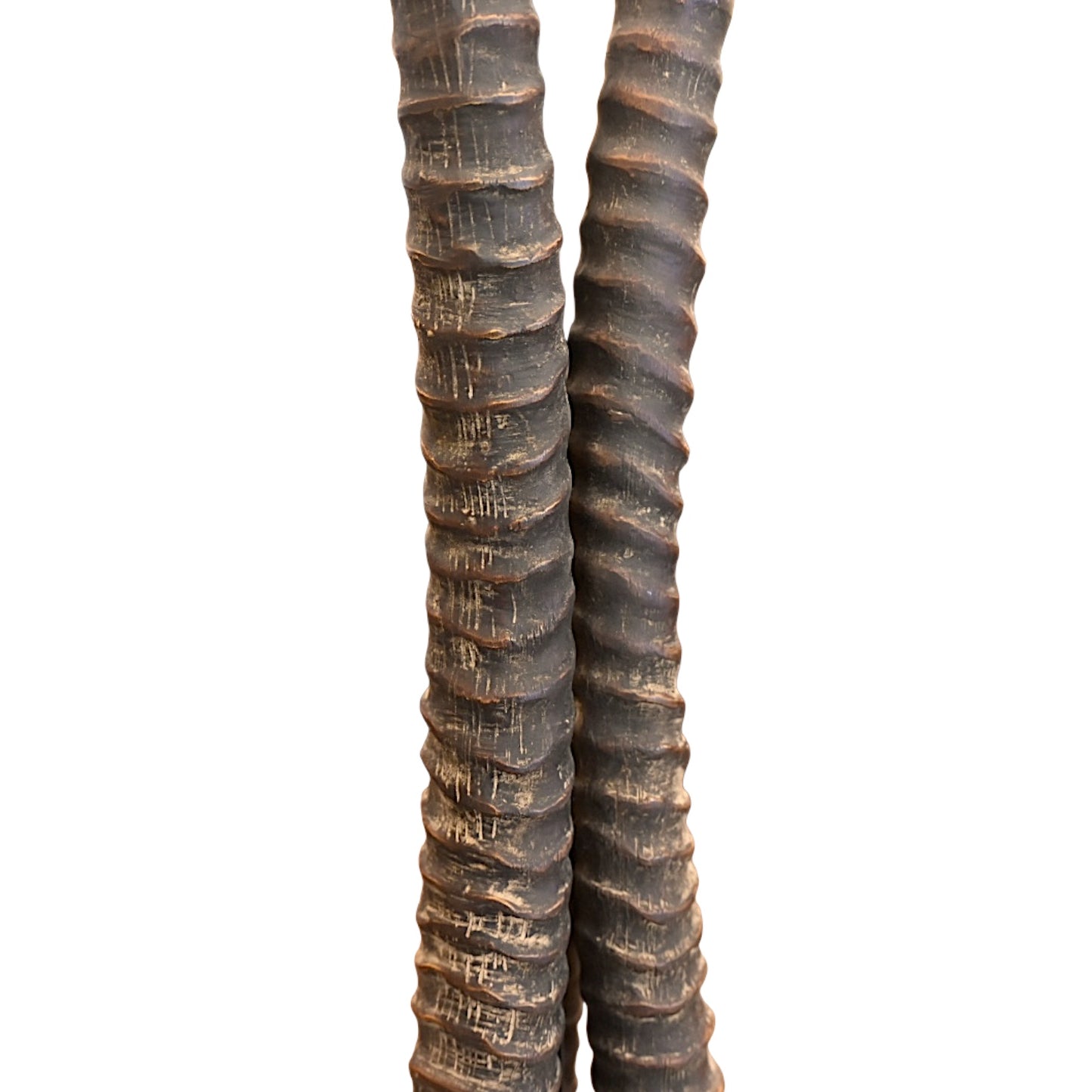 Exotic Triple Horn Table Lamp