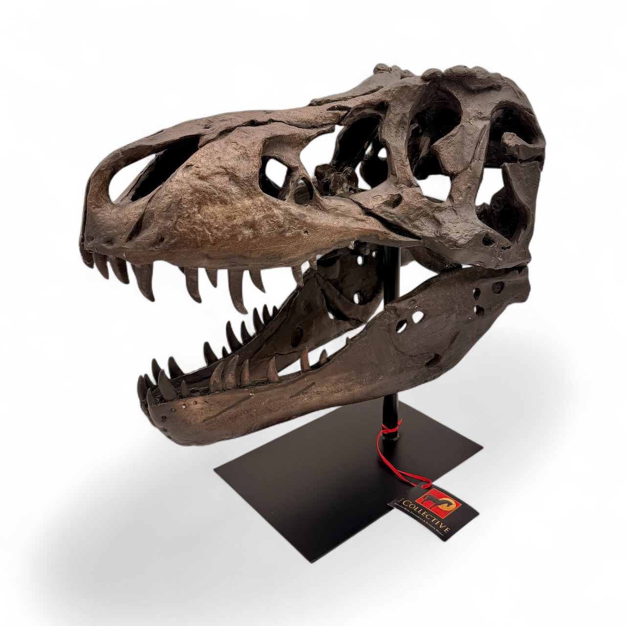 Dramatic Tyrannosaurus Sculpture in Chestnut Brown
