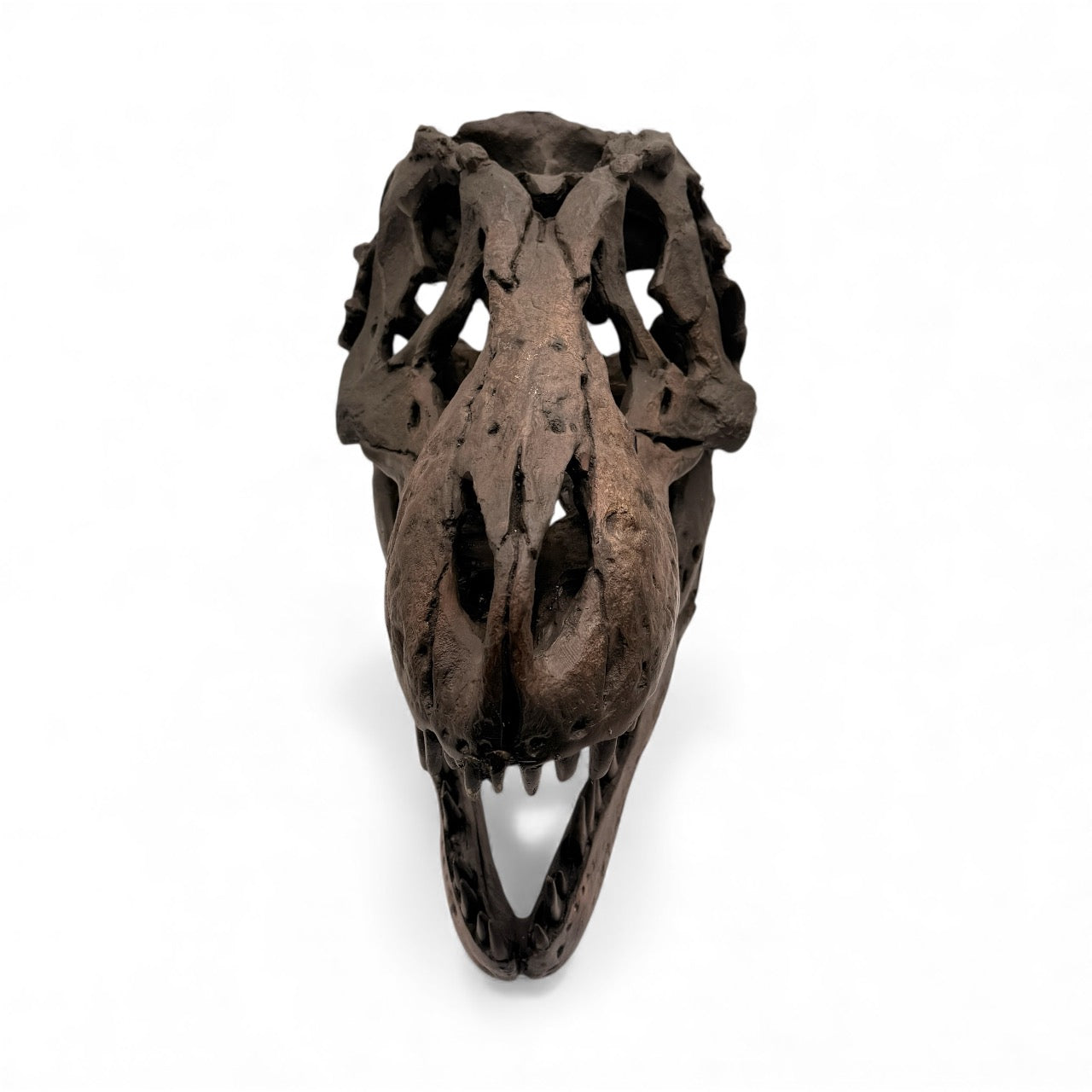 Dramatic Tyrannosaurus Sculpture in Chestnut Brown