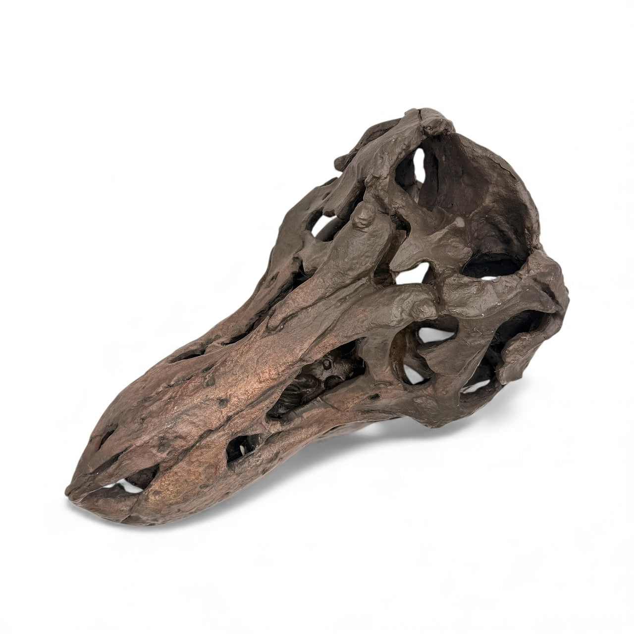 Dramatic Tyrannosaurus Sculpture in Chestnut Brown